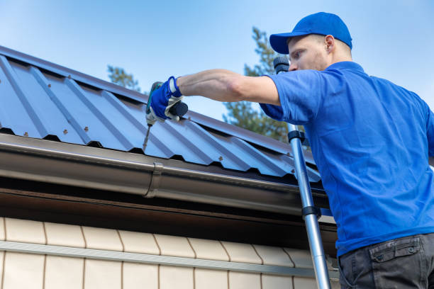 Best Roof Moss and Algae Removal  in Maineville, OH